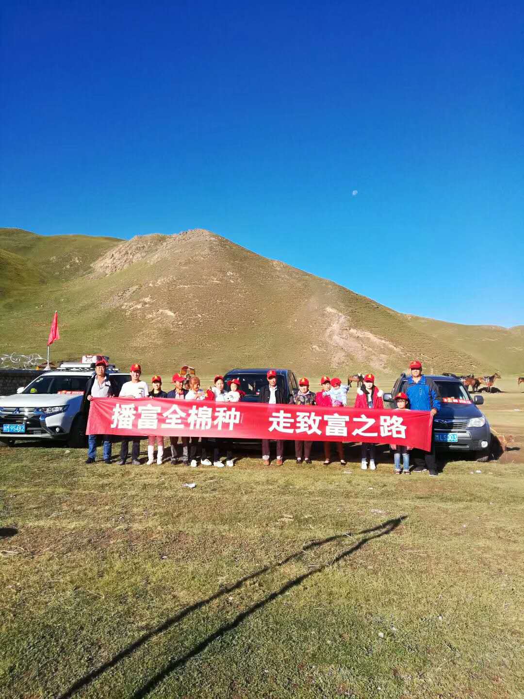 播富全棉種，走緻富之路