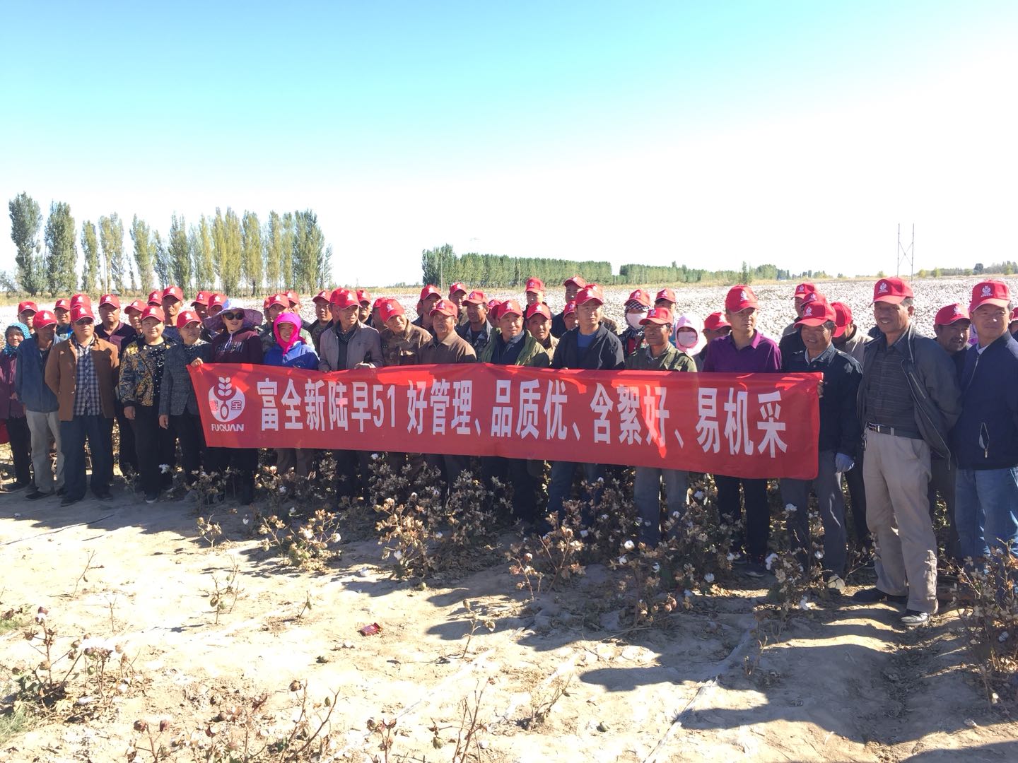新陸早51号