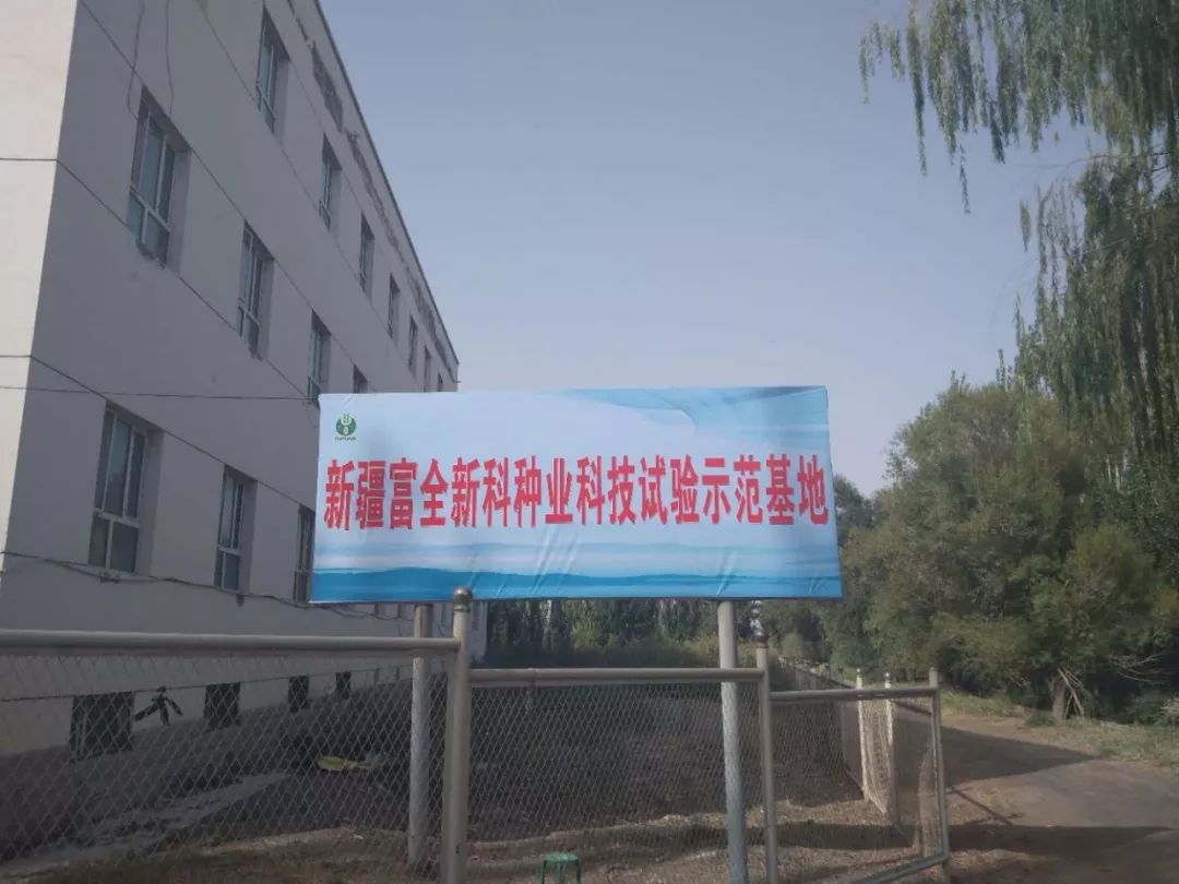 州領導及棉花專家莅臨富全新科種業良繁基地觀摩指導工作